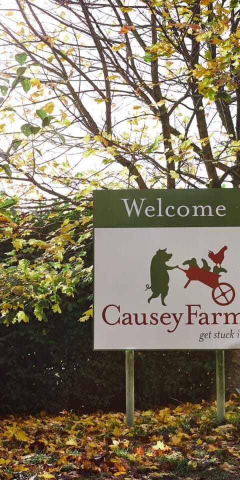 Causey Farm