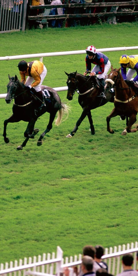 Fairyhouse Racecourse